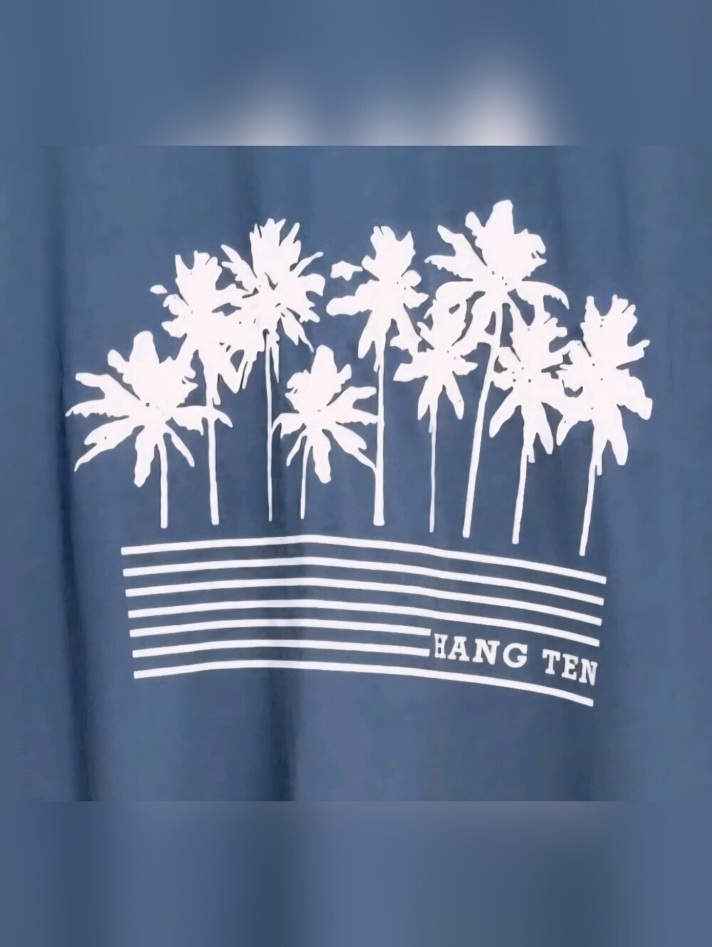 Hang Ten Mens Blue Gray Long Sleeve Costline Surf Tee Rare Palm Design UPF50 MED